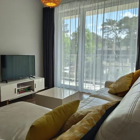 Dwie Sosny I Swierk 2