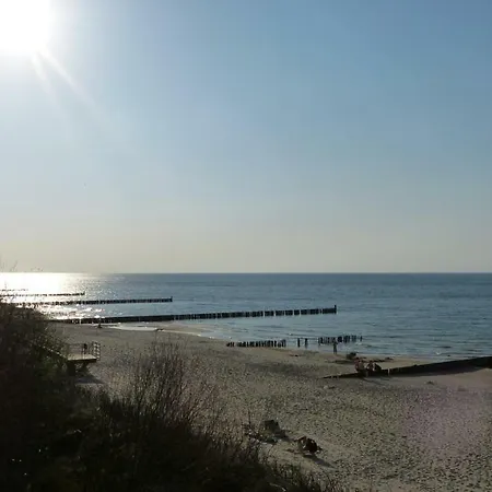 Dwie Sosny I Swierk 2 *